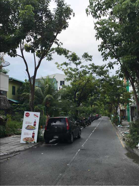 阿雅达AYADA